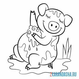 Раскраска свинка моется