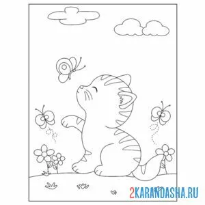 Раскраска котенок ловит бабочку