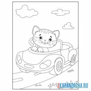 Раскраска кот на машине
