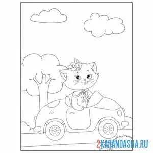 Раскраска кошка на машине