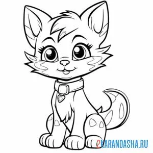 Раскраска котенок кошечка с ошейником