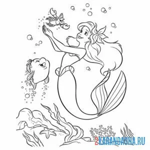 Раскраска ариэль со своими друзьями
