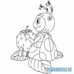 Раскраска мила и земляника