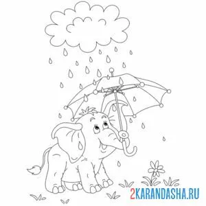 Раскраска слон под зонтом