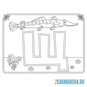 Раскраска буква щ с картинкой щуки