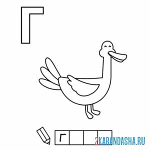 Раскраска алфавит буква г