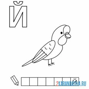Раскраска алфавит буква й