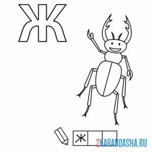 Раскраска алфавит буква ж
