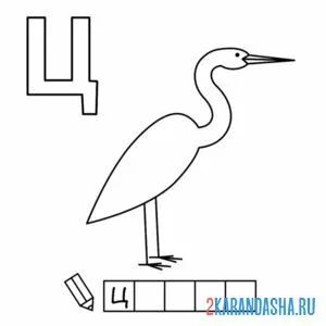 Раскраска алфавит буква ц