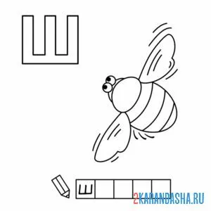 Раскраска алфавит буква ш