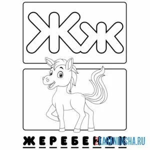 Раскраска буква ж жеребенок алфавит