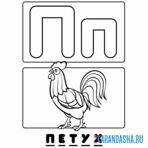 Раскраска буква п петух алфавит