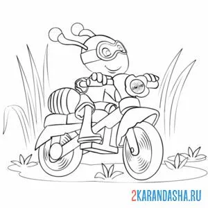 Раскраска пчелка на мотоцикле