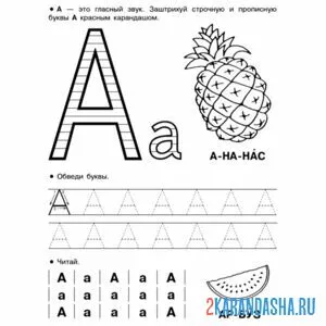 Раскраска печатная буква а и рисунок