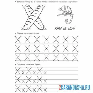 печатные заглавные и строчные буква х