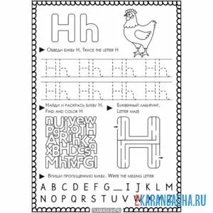 Раскраска английская пропись h