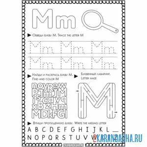 Раскраска английская пропись m