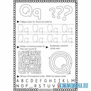 Раскраска английская пропись q