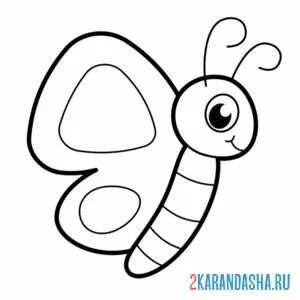 Раскраска бабочка малыши