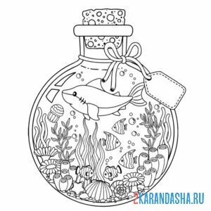 Раскраска сувенир акула