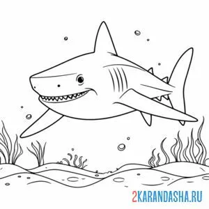 Раскраска зубастая акула