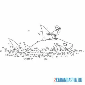 Раскраска акула и птичка