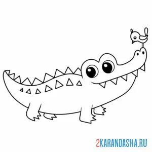 Раскраска простой крокодил с птичкой