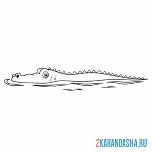 Раскраска крокодил в воде
