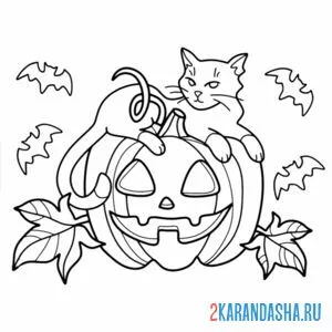 Раскраска тыква и котик