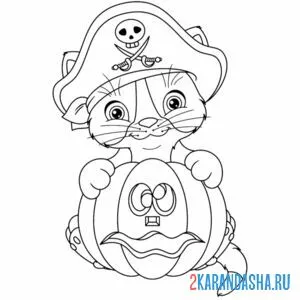Раскраска котик-пират тыква