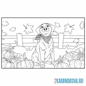 Раскраска собака в тыквах