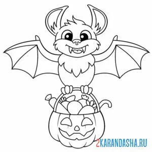Раскраска летучая мышь с тыквой