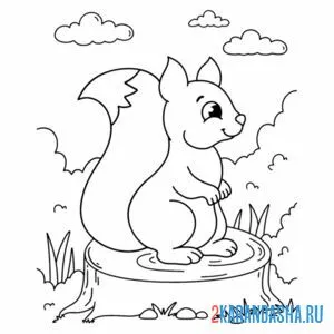 Раскраска белка осенью