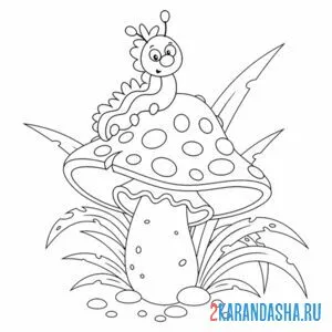 Раскраска гусеница на грибе