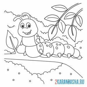 Раскраска гусеница в лесу