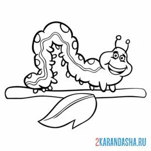 Раскраска гусеница на ветке