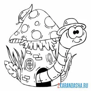 Раскраска гусеница в шляпе