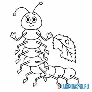 Раскраска гусеница с листком