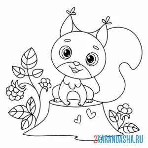 Раскраска белка и малина