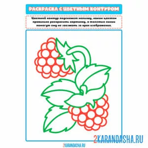 Раскраска малина цветной рисунок