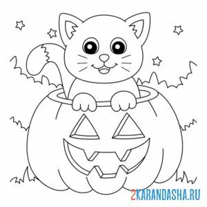 Раскраска котик в тыкве