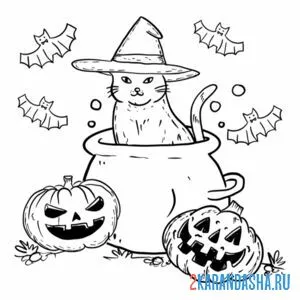 Раскраска котик-ведьма