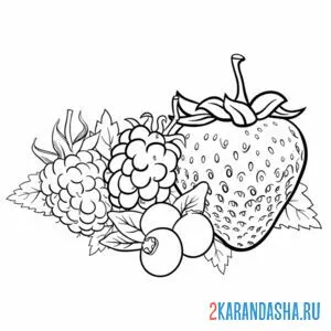 Раскраска клубника, малина и ягоды