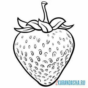 Раскраска клубничка без листьев