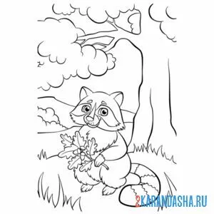 Раскраска енот в дубовом лесу