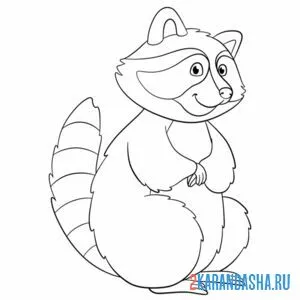 Раскраска енот-полоскун