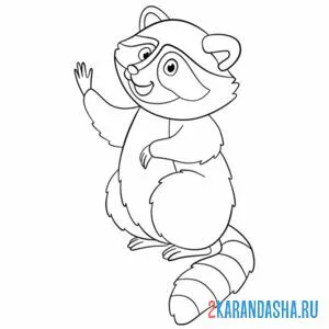 Раскраска енот передает привет