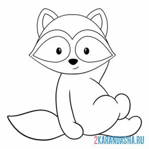 Раскраска енот сидит