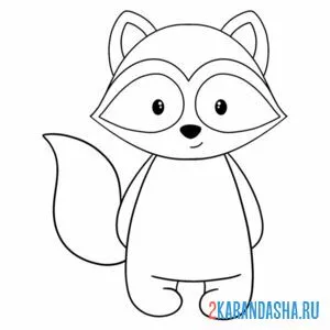 Раскраска енот стоит