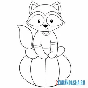 Раскраска енот на тыкве